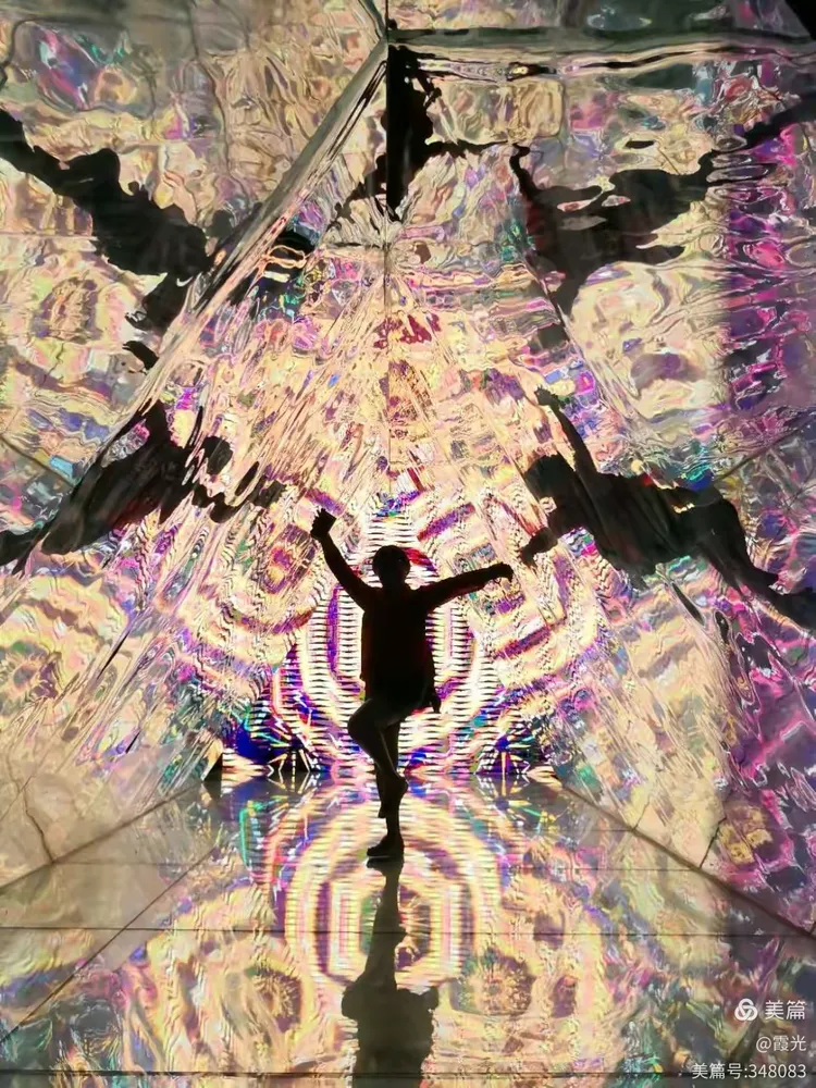 我在平行世界里